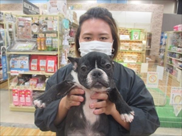 写真